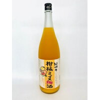 中野BC 紀州の野菜ミックス梅酒 1.8L